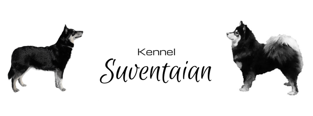 Kennel Suventaian